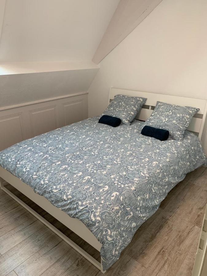 Historical Town Center Spacious Flat Colmar Zewnętrze zdjęcie