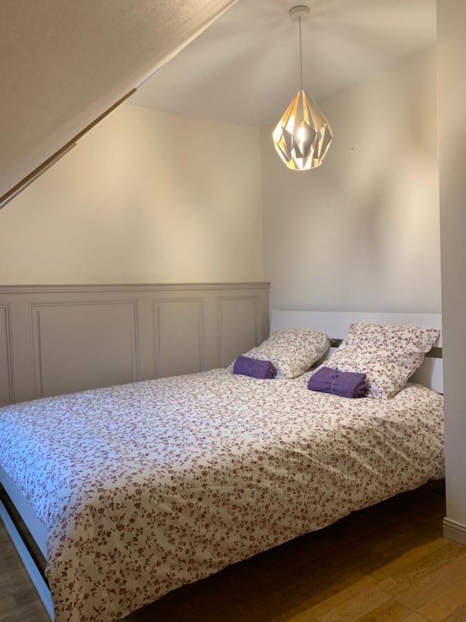 Historical Town Center Spacious Flat Colmar Zewnętrze zdjęcie