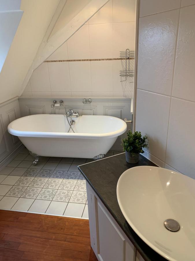Historical Town Center Spacious Flat Colmar Zewnętrze zdjęcie