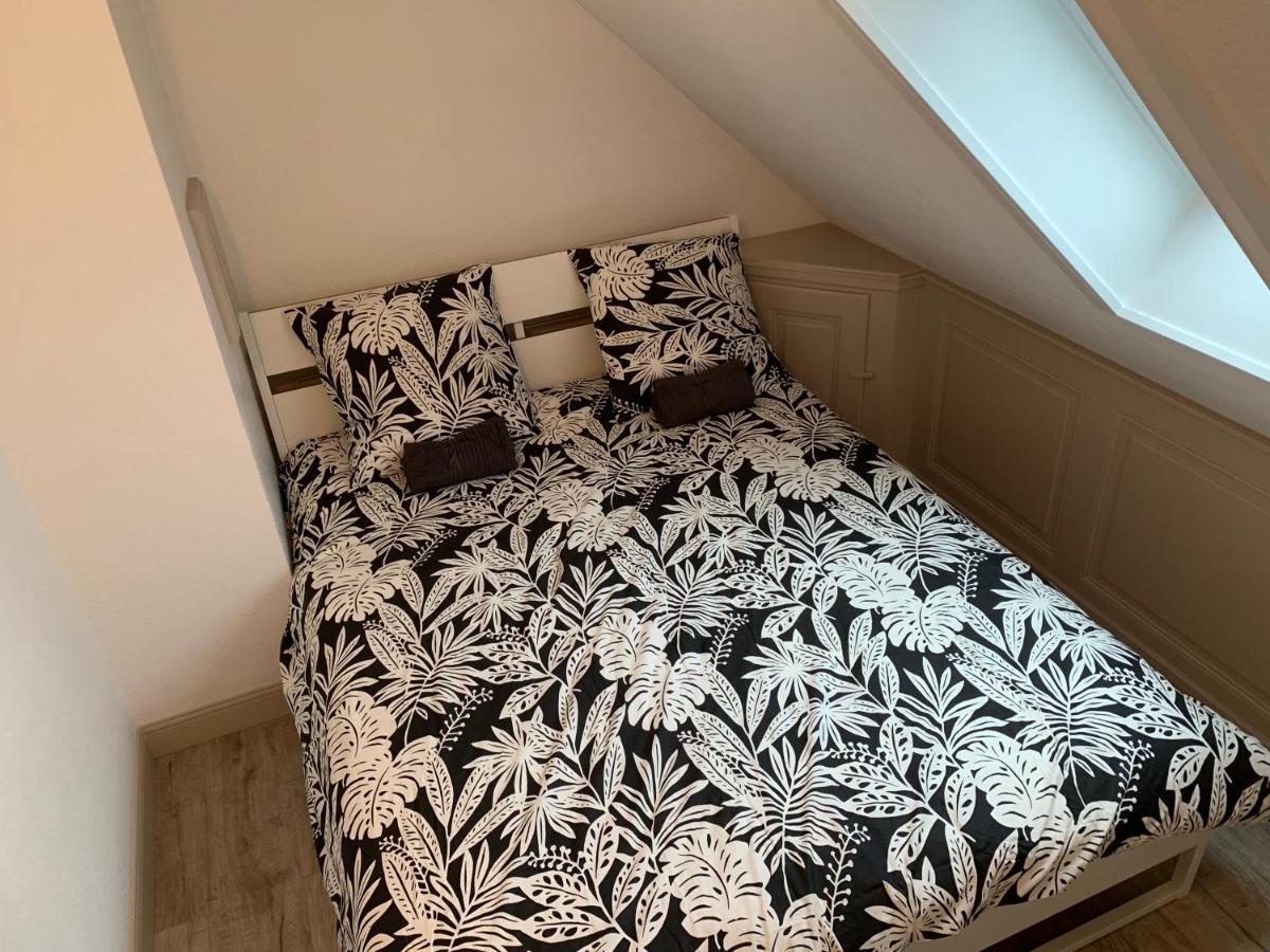 Historical Town Center Spacious Flat Colmar Zewnętrze zdjęcie