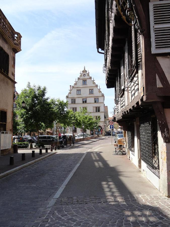 Historical Town Center Spacious Flat Colmar Zewnętrze zdjęcie