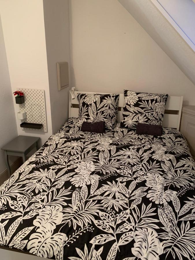 Historical Town Center Spacious Flat Colmar Zewnętrze zdjęcie