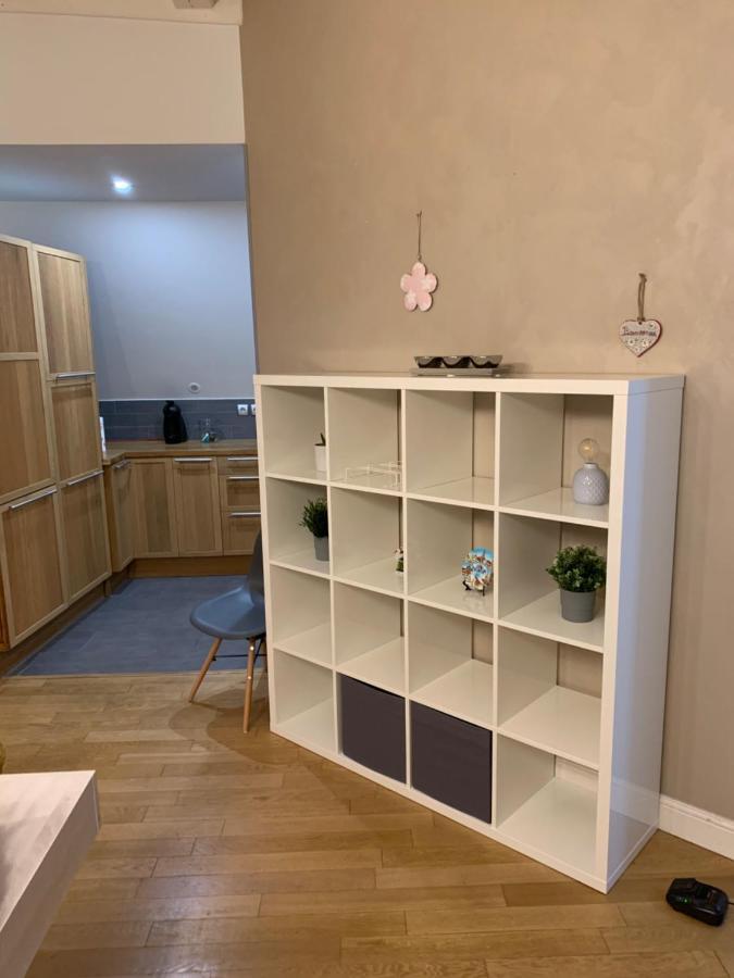 Historical Town Center Spacious Flat Colmar Zewnętrze zdjęcie
