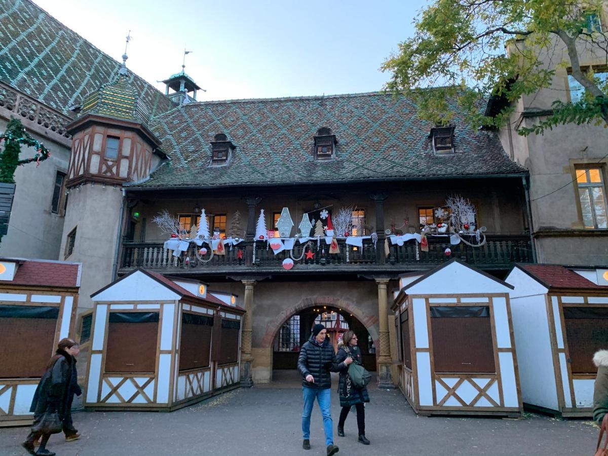 Historical Town Center Spacious Flat Colmar Zewnętrze zdjęcie