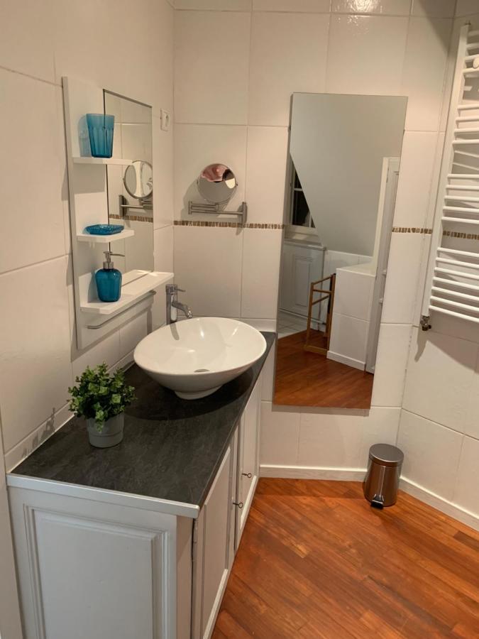 Historical Town Center Spacious Flat Colmar Zewnętrze zdjęcie