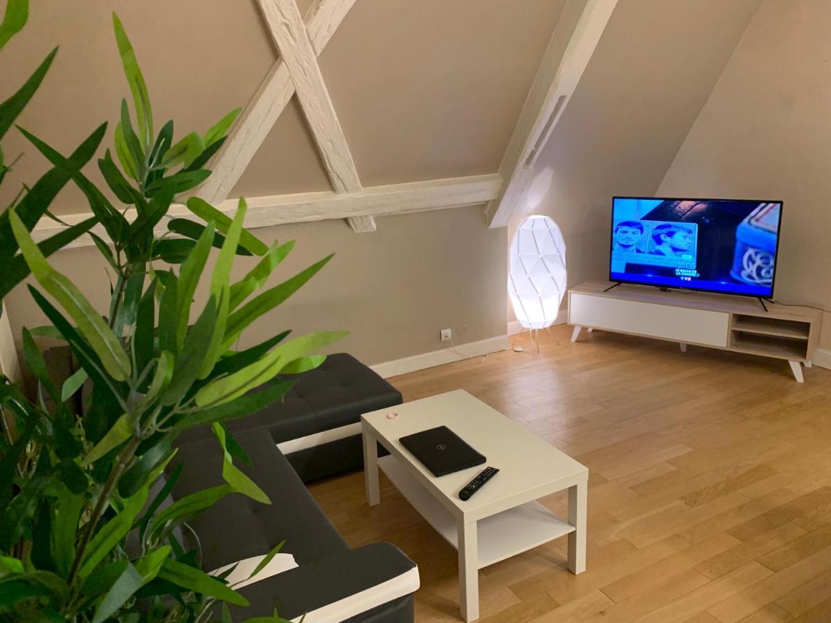 Historical Town Center Spacious Flat Colmar Zewnętrze zdjęcie