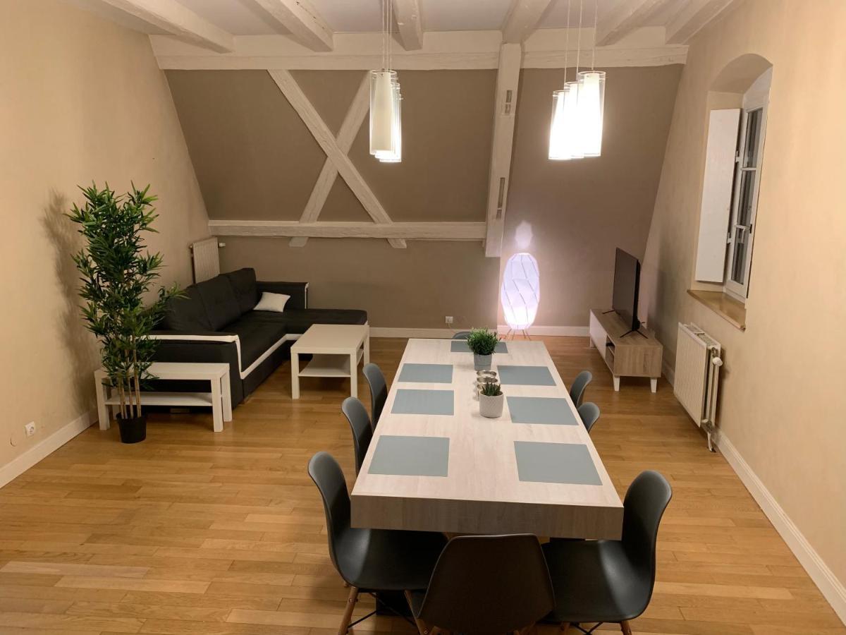 Historical Town Center Spacious Flat Colmar Zewnętrze zdjęcie